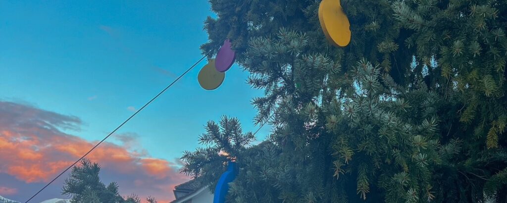 Der Weihnachtsbaum steht auf dem Dorfplatz und erstrahlt!